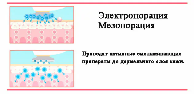 Аппарат для лица BEAUTY 5 в 1: микротоки EMS, мезопорация, RF, LED — изображение 7